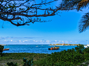 An image from our Anguilla album