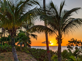 An image from our Anguilla album