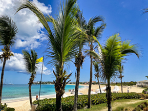 An image from our Anguilla album