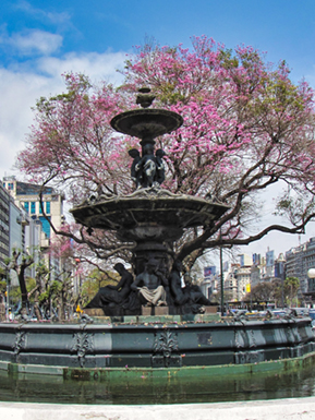 An image from our Argentina album