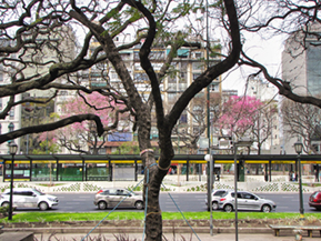 An image from our Argentina album