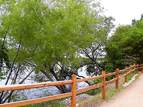 An image of Austin Colorado river from our Album