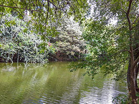 An image of Austin Colorado river from our Album