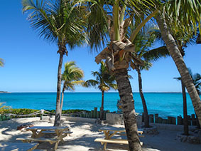 The image from the Blue Lagoon Island