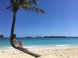 Another image of the borrachito palm image