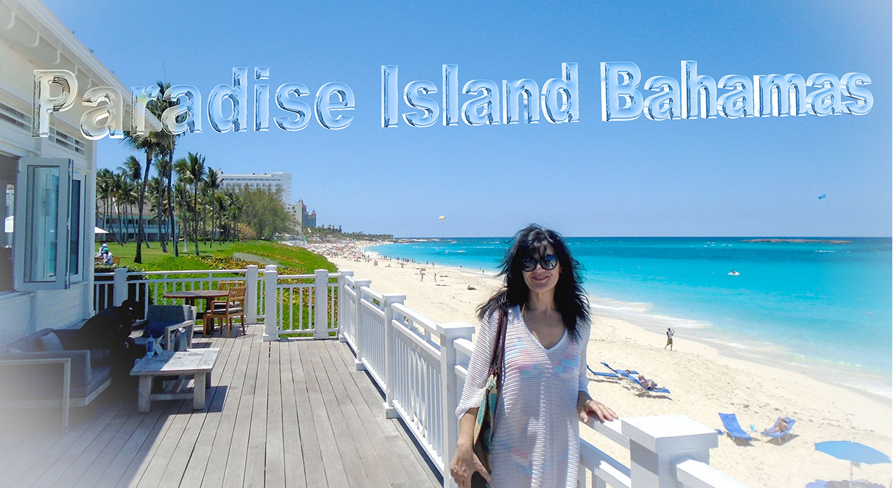 Paradise Island cover