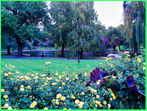 An image from Boston