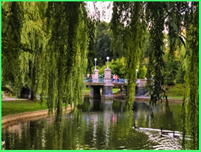 An image from Boston