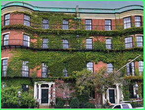 An image from Boston