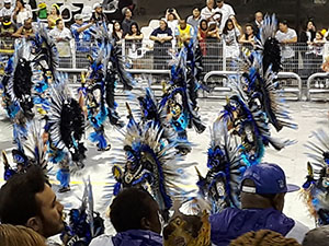 The image from Samba School Carnival, Sao Paulo