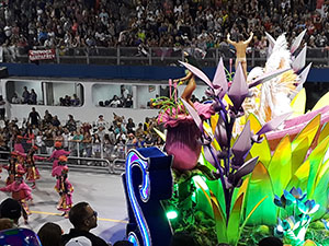 The image from Samba School Carnival, Sao Paulo