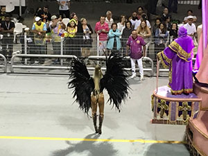 The image from Samba School Carnival, Sao Paulo