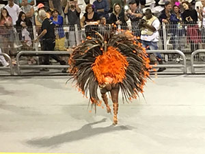 The image from Samba School Carnival, Sao Paulo