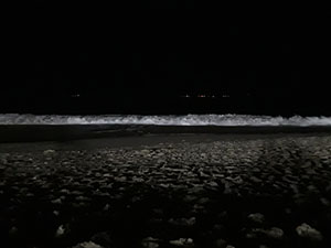 Image or Copacabana at night