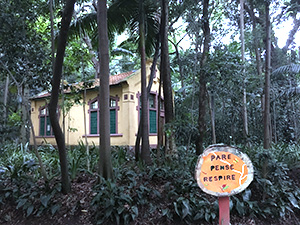 Trianon Park in Paulista Ave