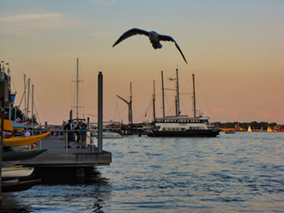 The image from the Lake Ontario waterfront