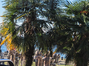 The image from our Vancouver album