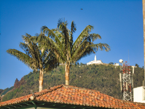 An image from our Colombia album