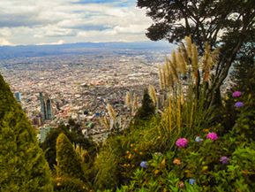 An image from our Colombia album