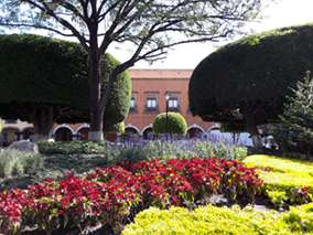 An image from our Queretaro album