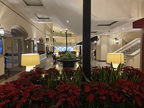 An image from the balcony onto the sea