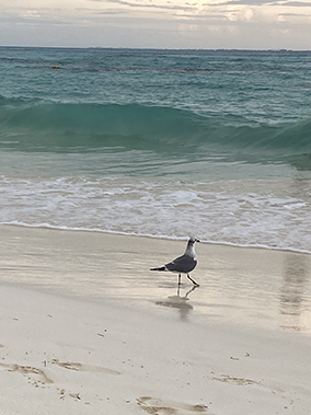 An image from the balcony onto the sea