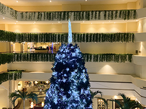 An image from the lobby - the Christmas tree