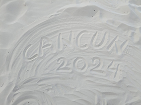 An image from our Cancun album