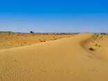 Images from Dubai desert tour