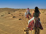 Images from Dubai desert tour
