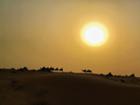 Images from Dubai desert tour