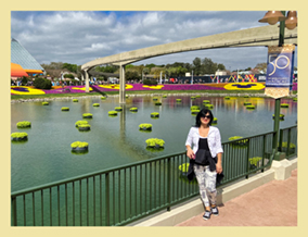 An image from EPCOT - Disney World