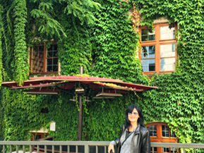 An image from Munich photo galery