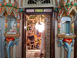 Image from Jane temple