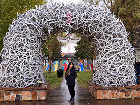 The image of arches made of shed antlers