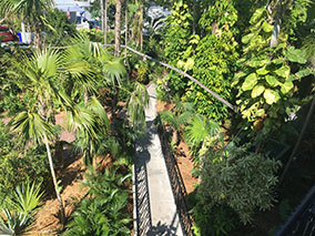 An image from Key West from our albums