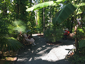 An image from Key West from our albums