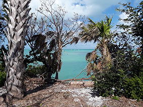 An image from Key West from our albums