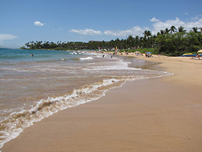 An image from Maui beach