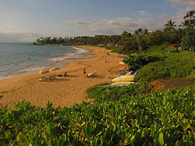 An image from Maui beach