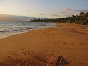 An image from Maui beach