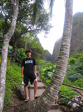 An image from Maui rainforest