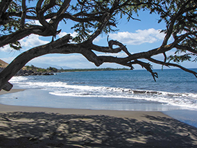 An image from Lahaina Maui