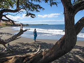 An image from Lahaina Maui