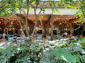 An image of Teotihuacán pyramides from our album