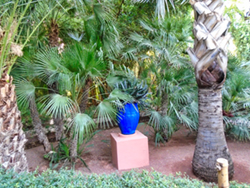 An image from the Majorelle Garden