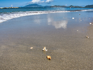 The image from Pinney's beach