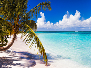 The beach in Puerto Rico