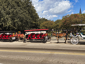 An image from New Orleans French quarter from our Album