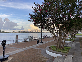 An image from New Orleans French quarter from our Album